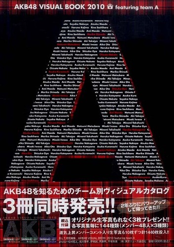 AKB48 VISUAL BOOK 2010 featuring tea A OrAACh