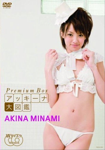 南 明奈 みなみ あきな akina minami アッキーナ大図鑑 DVD 画像